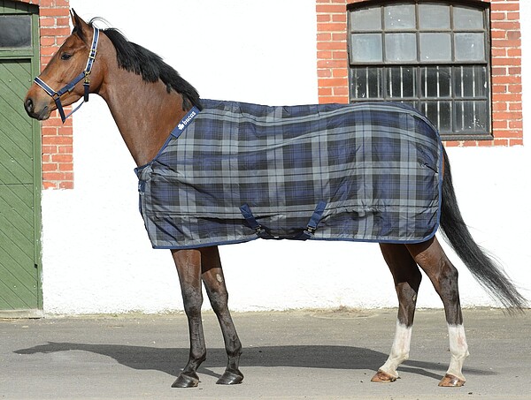 Bucas Celtic Stable Light 125 tartan  