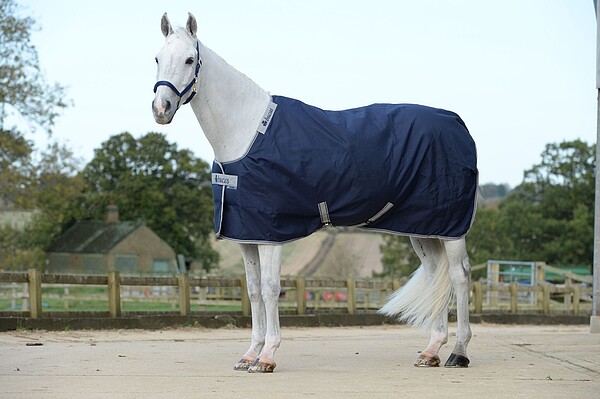 Bucas Celtic Stable Medium 140 navy  