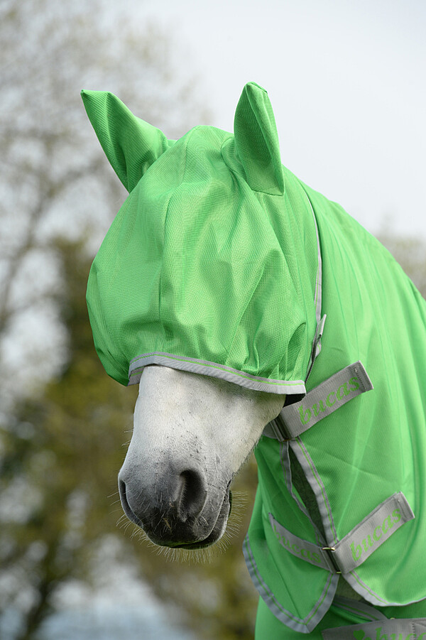 Freedom Fly Mask  