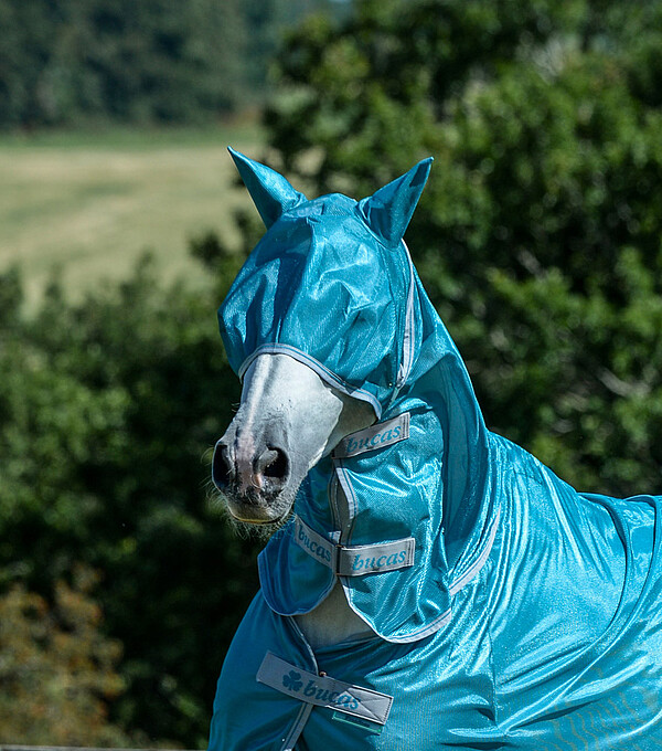 Freedom Fly Mask  