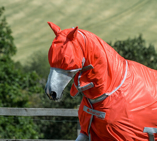 Freedom Fly Mask  