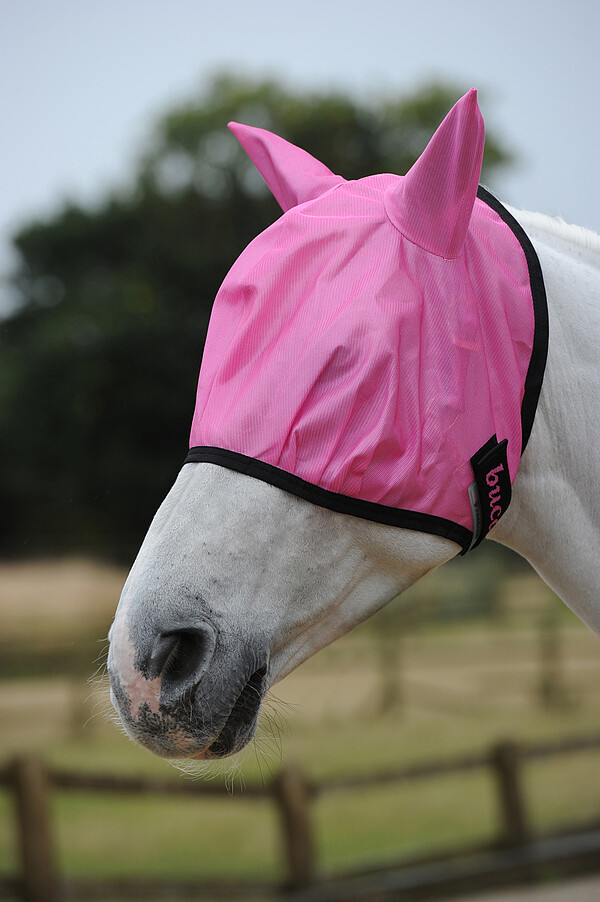 Freedom Fly Mask  