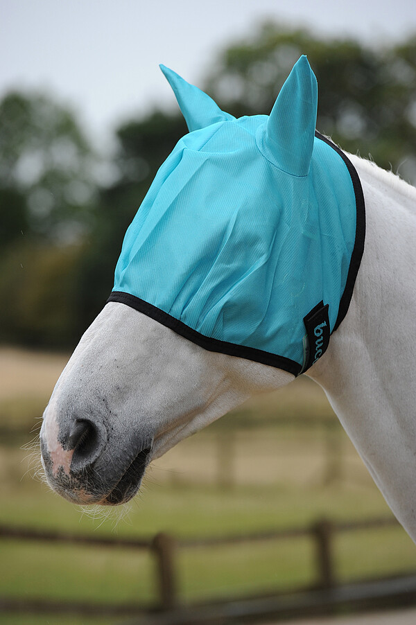 Freedom Fly Mask  