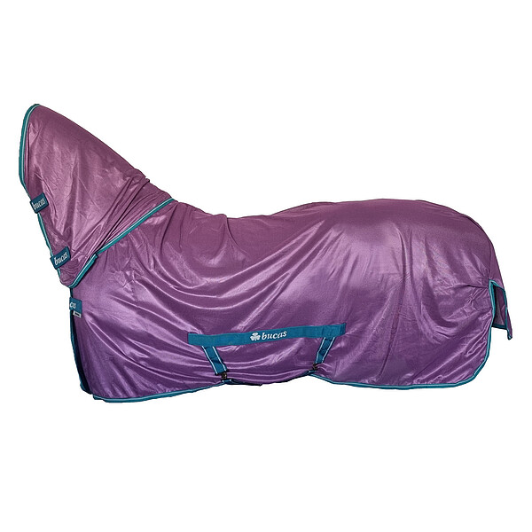 Freedom Fly Sheet F/N  