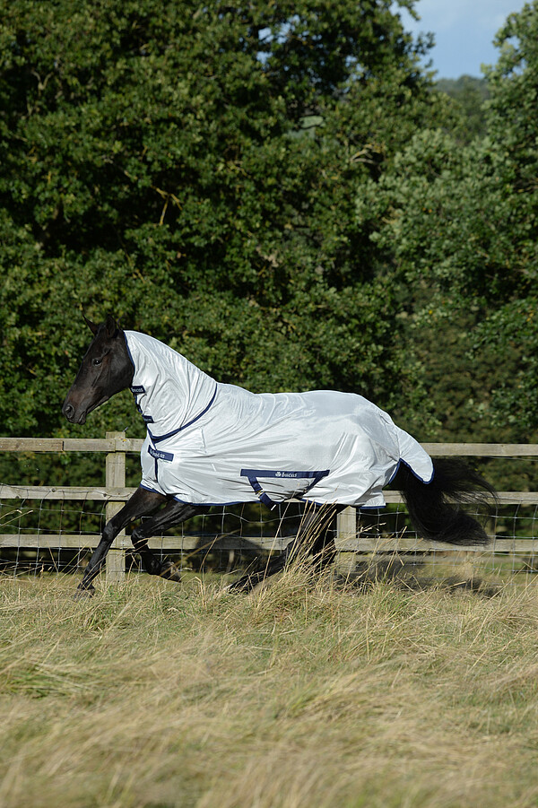 Bucas Freedom Fly Sheet FN 100 silver  