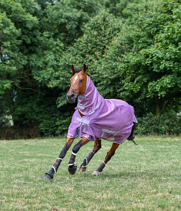 Bucas Freedom Fly Sheet FN 105 mauve  