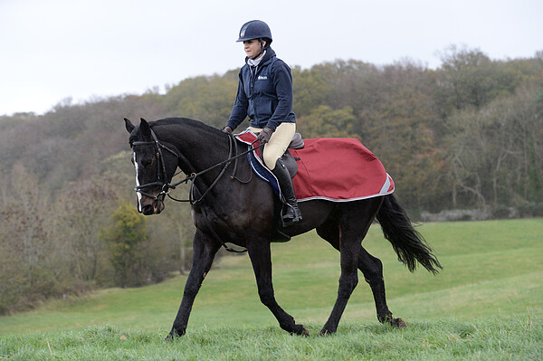 Bucas Freedom Riding Rug *  