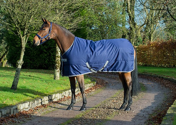 Bucas Freedom Stable 150g 125 navy  