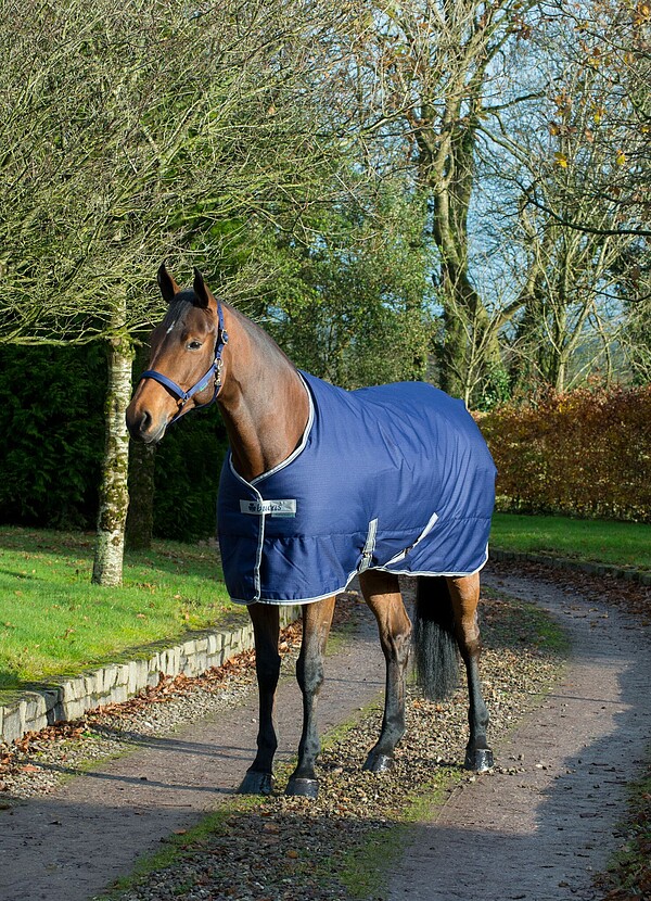 Bucas Freedom Stable 300g 140 navy  