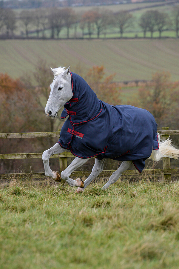 Freedom Turnout light Full Neck  