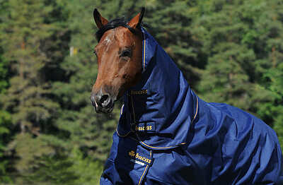 Bucas Irish Combi Neck 300 M navy/gold  