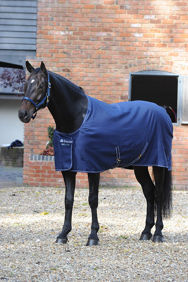 Bucas Irish Stable Extra 135 navy  