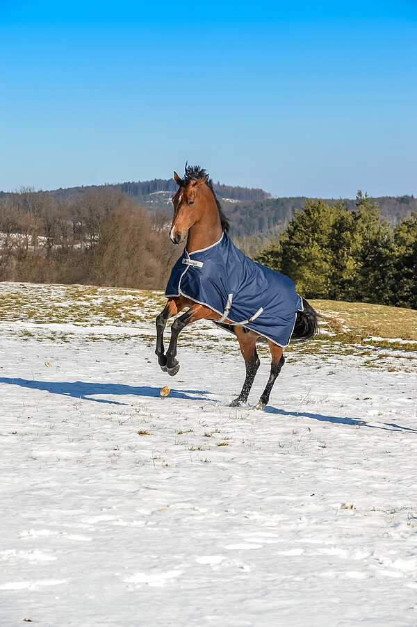 Bucas Pony Freedom Turnout 300 navy 95  