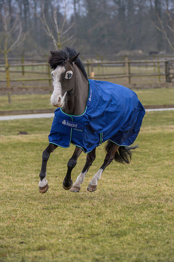 Bucas Pony Smartex Rain 100 blue  