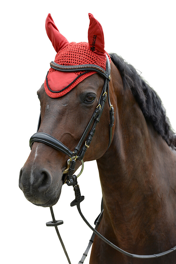 Sports Line Fly Bonnet  