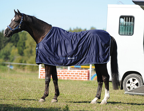 Bucas Turnier-/Reise Cooler 155cm  