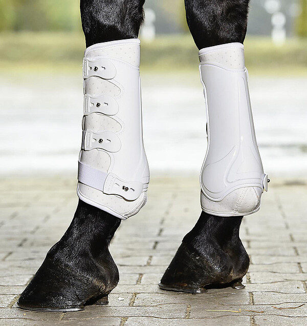 Gamaschen Dressage Pro  