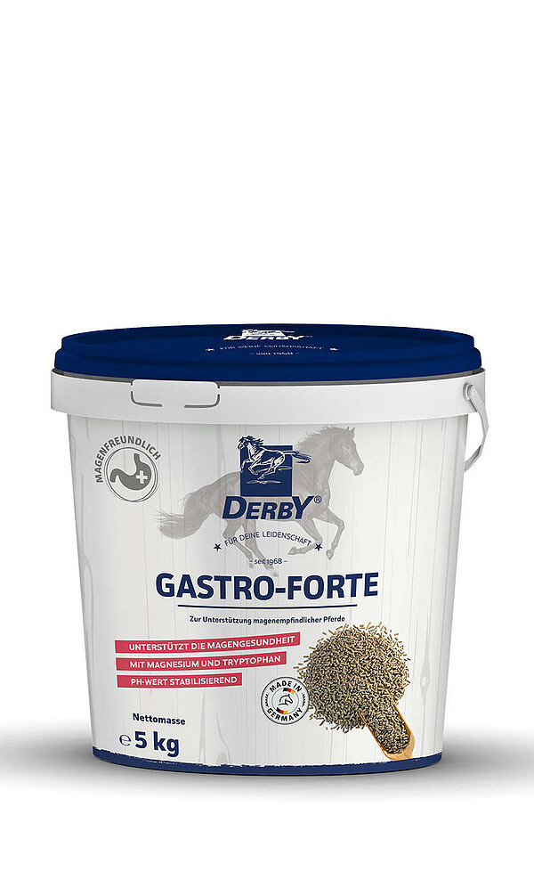 Derby Gastro Forte 5kg  