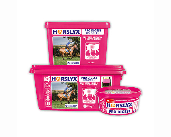 Derby Horslyx pro Digest 650g  