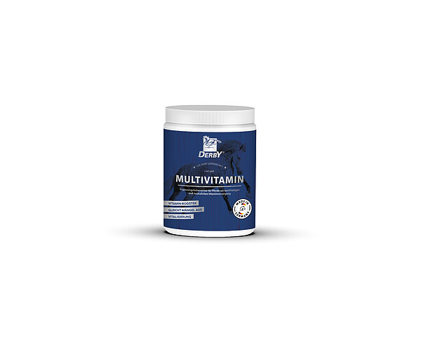 Derby Multivitamin 700g  