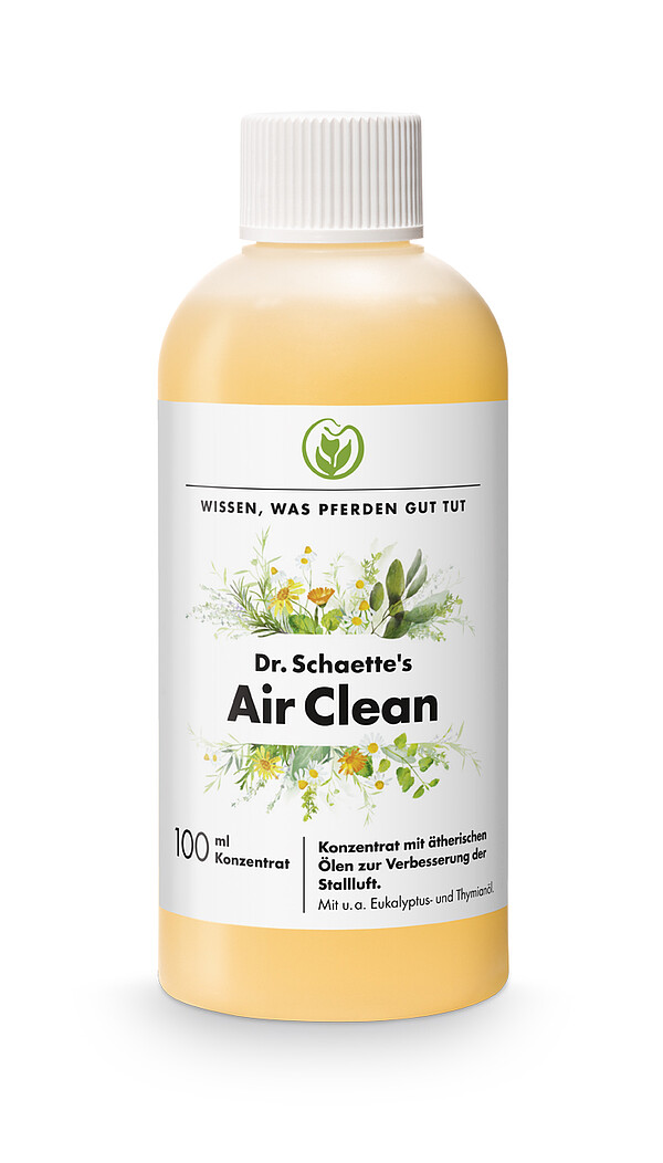 Air Clean 100ml + Sprühf.  