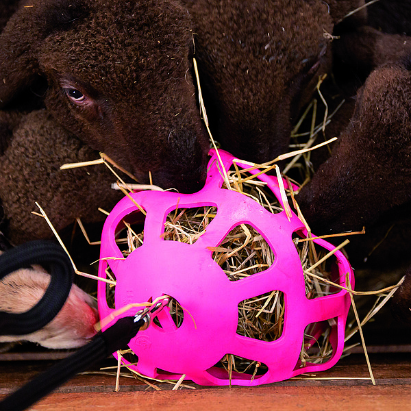 Hay Slowfeeder fun&flex 22cm rosa Ball  