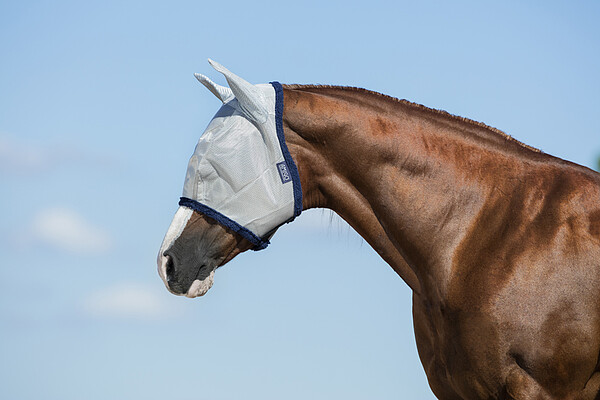 Amigo FlyMask Cob silver & navy  