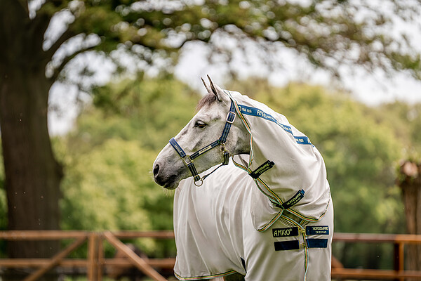 FieldSafe Headcollar  