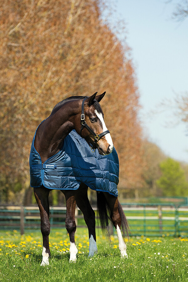 Horseware Liner 100  