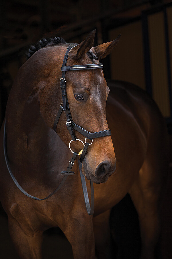 Micklem Diamond Competition Bridle  