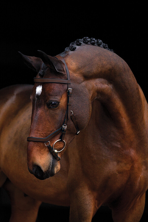 Rambo Micklem Competition Bridle  