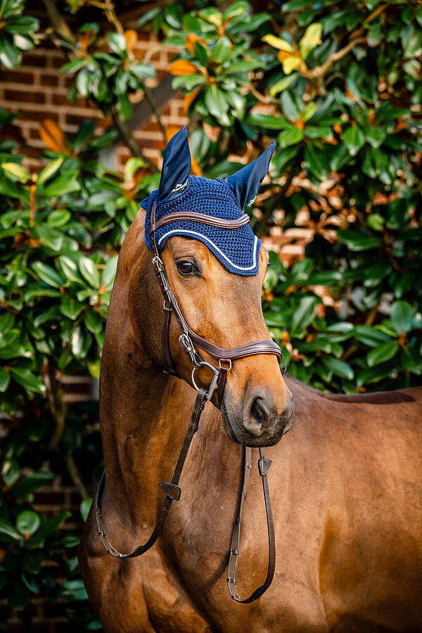 Signature Ear Net  