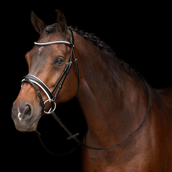 HV Polo Bridle deluxe Legacy  