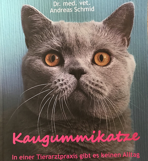 Kaugummikatze - Dr.med.vet.A.Schmid  