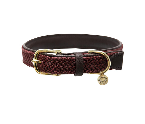 Ken. Gefl. Nylon Hundehalsband bord. XL  