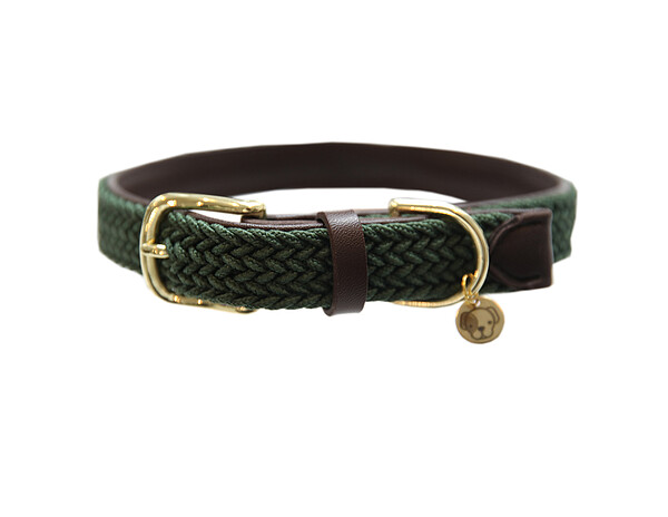 Ken. Gefl. Nylon Hundehalsband grün S  