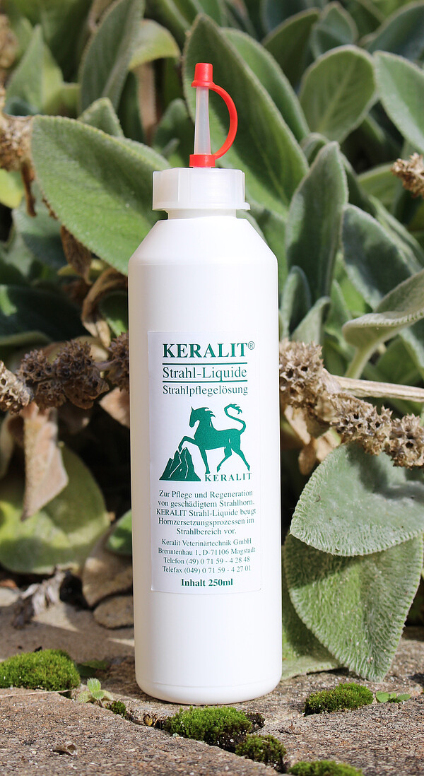 Keralit Strahl-Liquid 250 ml Dosierfl.  