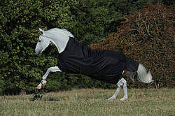 Irish Turnout High Neck  