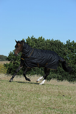 Irish Turnout Light/​50 +Neck 