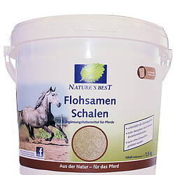 Flohsamen Schalen 