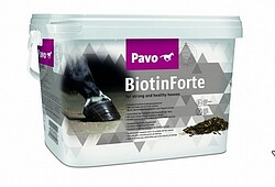 Biotin Forte 