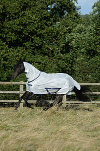 Bucas Freedom Fly Sheet FN 105 silver 