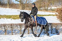 Bucas Freedom Riding Rug 135 Navy 