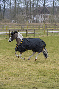 Bucas Pony Irish Turnout extra black 95