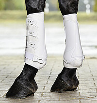 Gamaschen Dressage Pro 