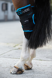 Horseware Ice Vibe Hock Wrap Full Neu pr